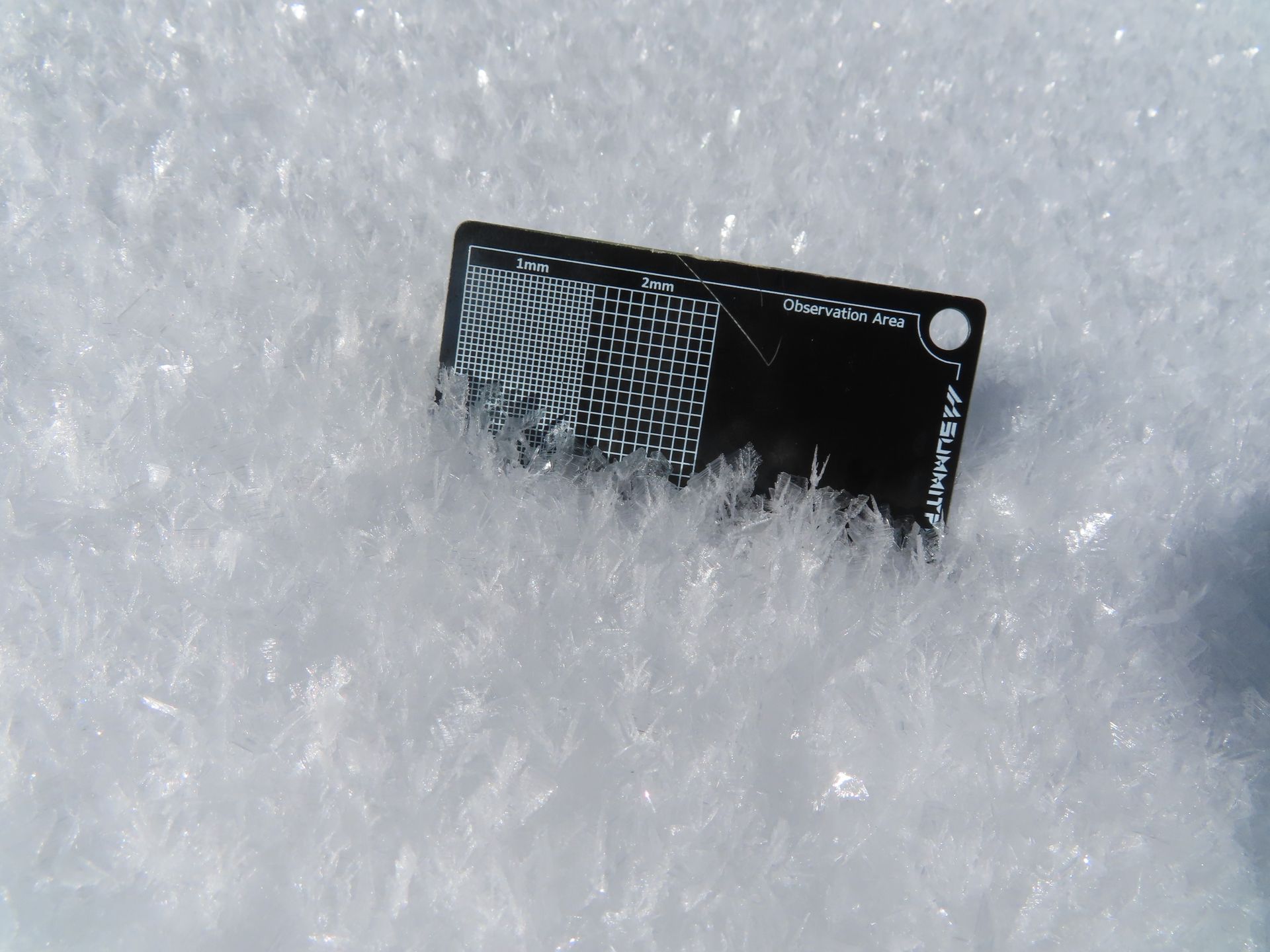 Snow crystal closeup